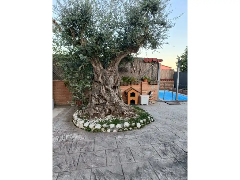 Jardín de Casa o chalet en venta en Rubí