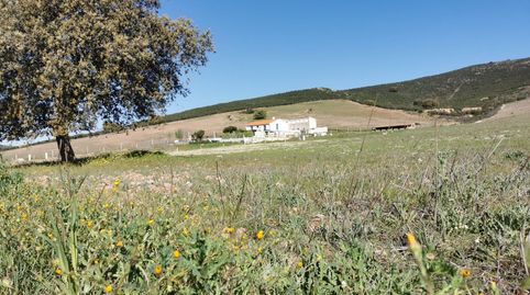 Cortijo con tereno , ideal para vivir y conectar con la naturaleza, imatge 4