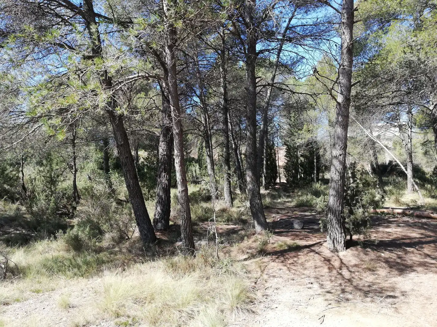 Residencial en venta en La Pobla de Claramunt