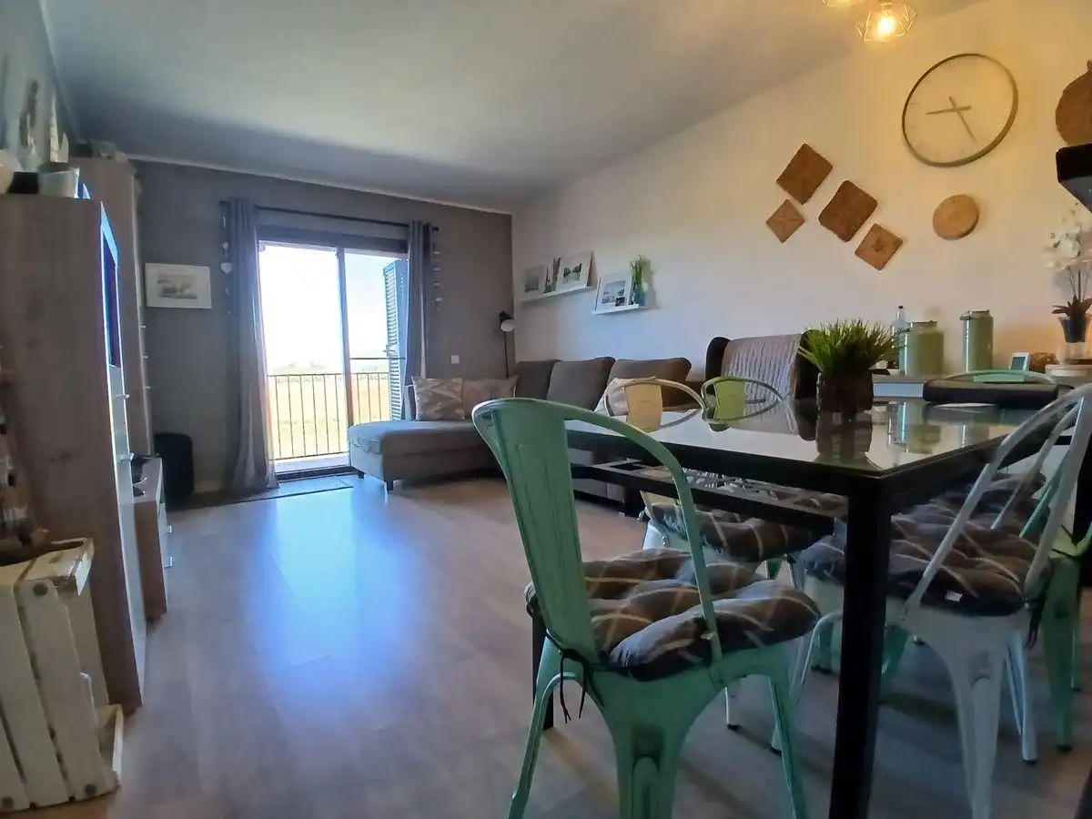 Sala d'estar de Apartament en venda en Sant Jaume d'Enveja amb Moblat, Balcó i Piscina comunitària