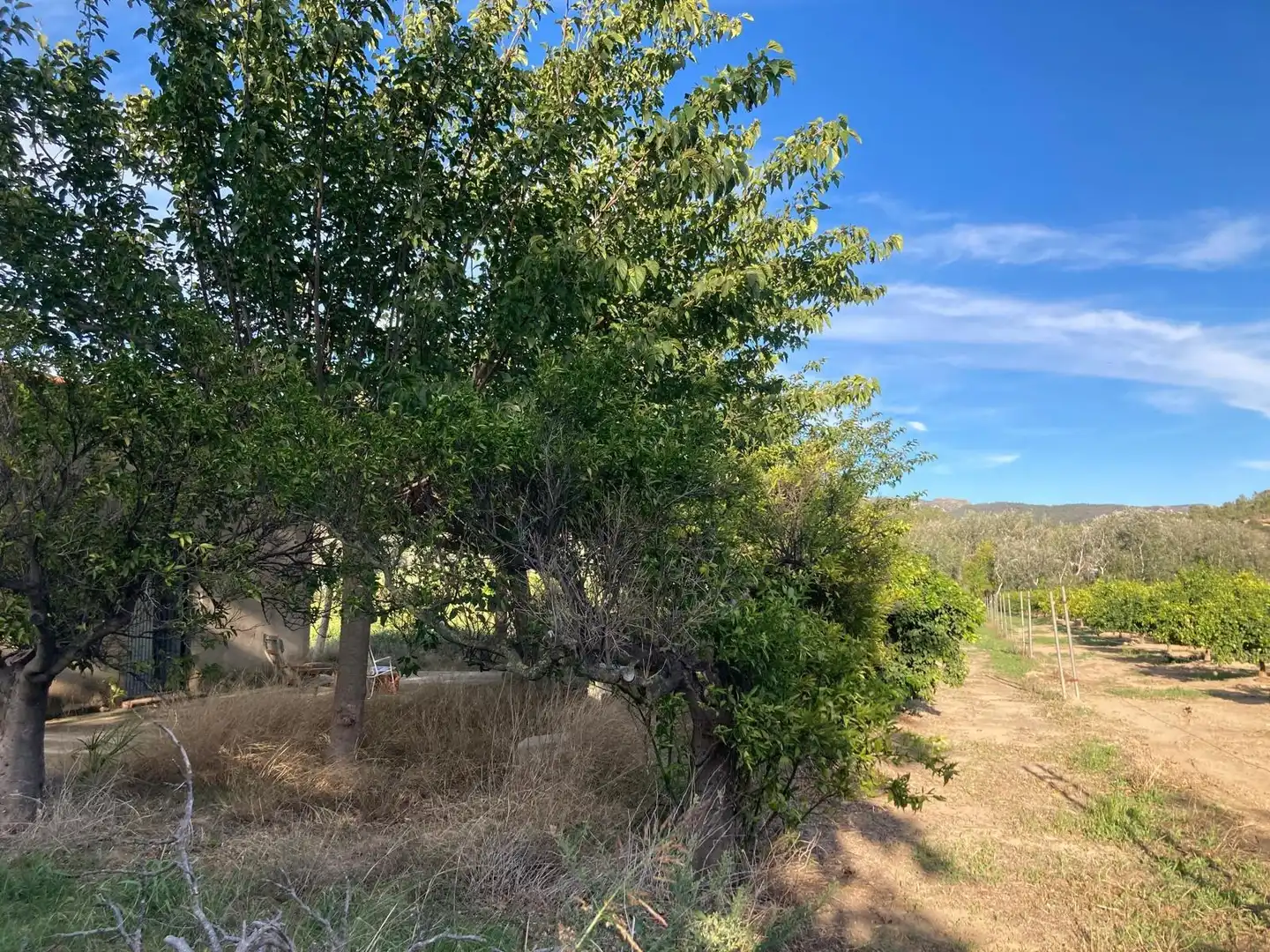 Finca rústica en venda en Xerta amb Calefacció