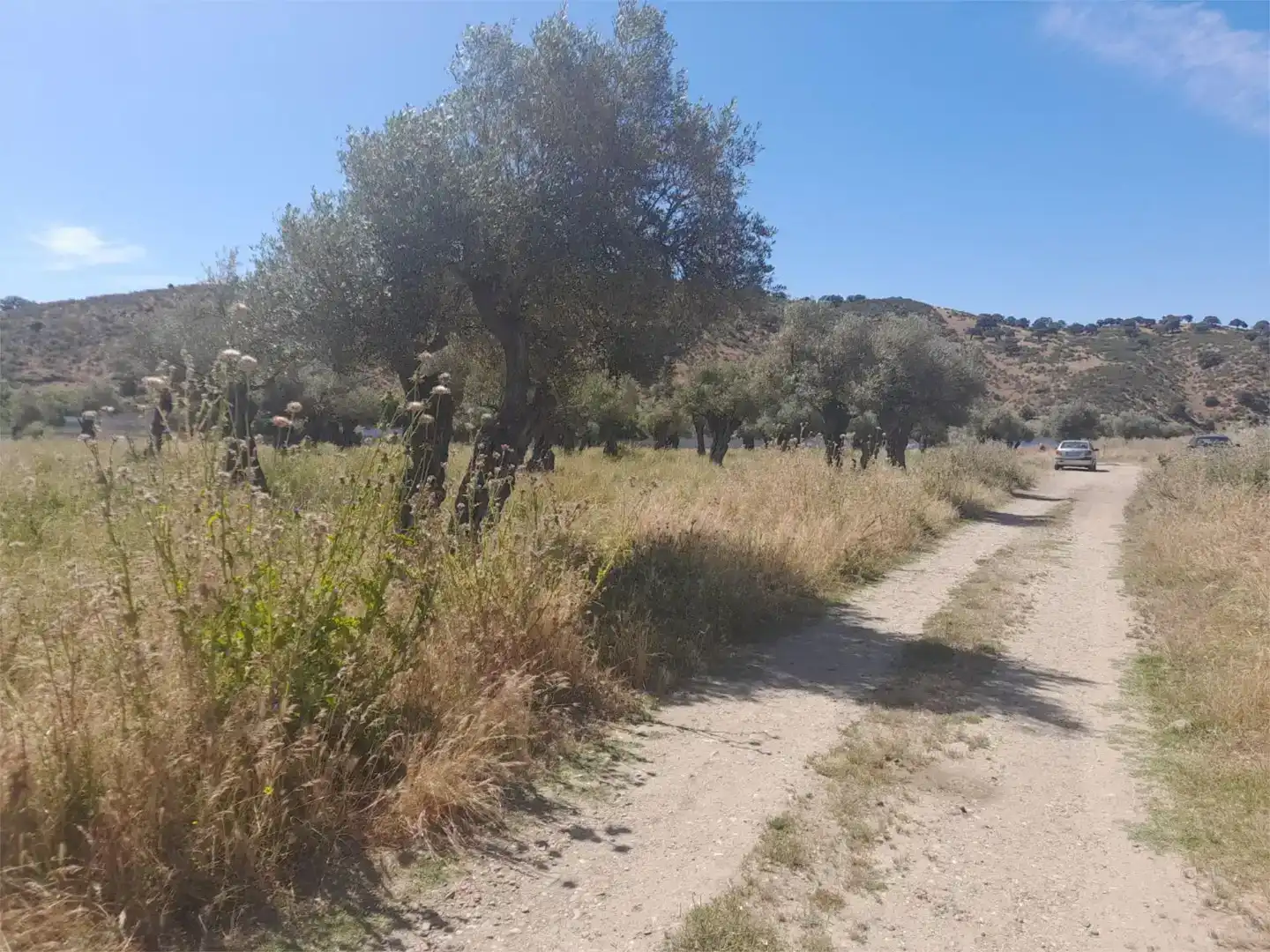 Terreno en venta en Casillas de Coria