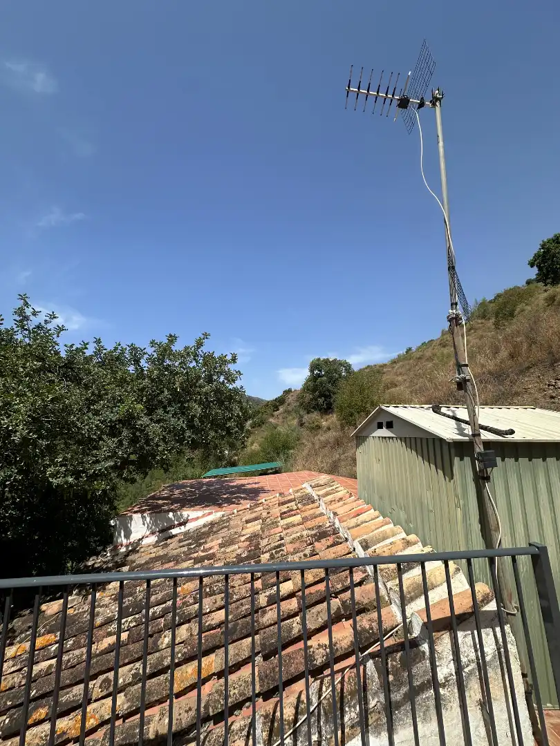 Vista exterior de Finca rústica en venda en Benamargosa amb Aire condicionat, Jardí privat i Terrassa