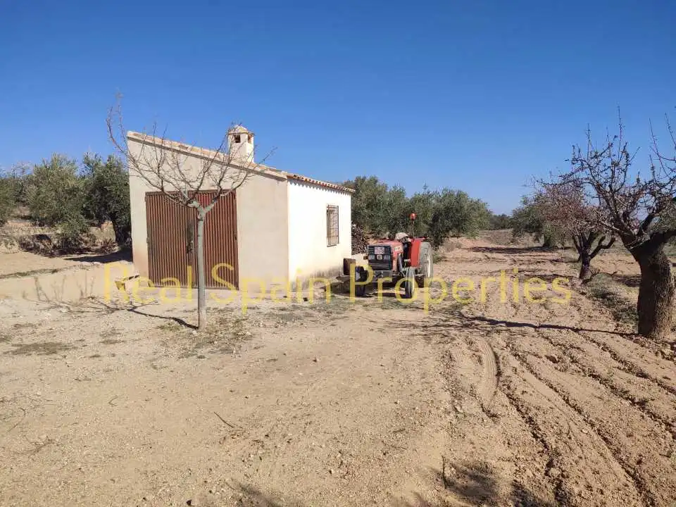Residential land for sale in Vélez-Rubio, imagen 4