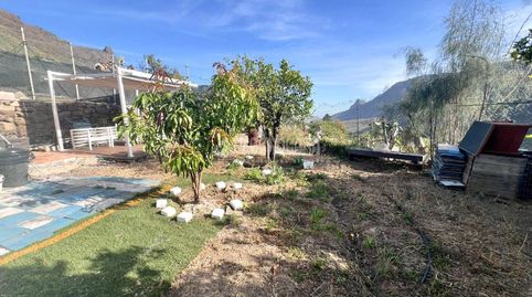 Foto 4 de Finca rústica en venda a San Fernando, San Bartolomé de Tirajana