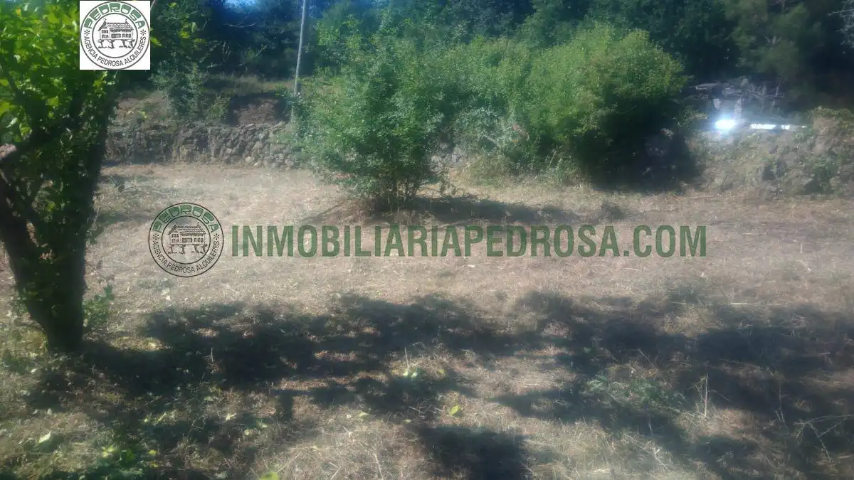 Finca rústica en venta en Campo Lameiro