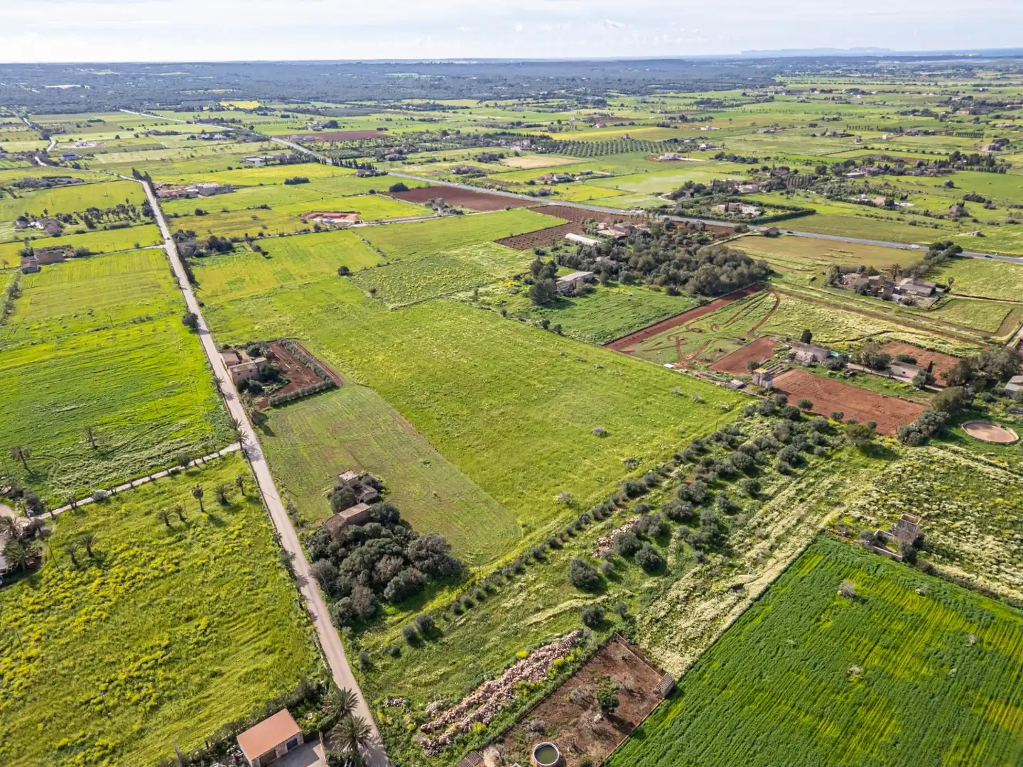 Rustikales Grundstück zum Verkauf in Campos poble, imagen 13