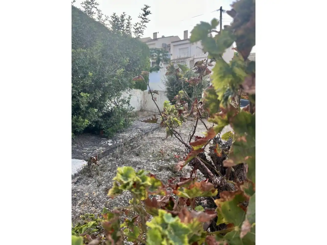 Casa o xalet de lloguer en El Campello amb Aire condicionat, Terrassa i Moblat