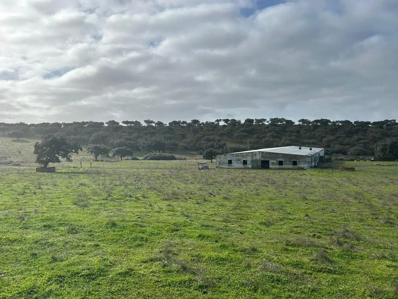 Lands and plots for sale in *, imagen 5
