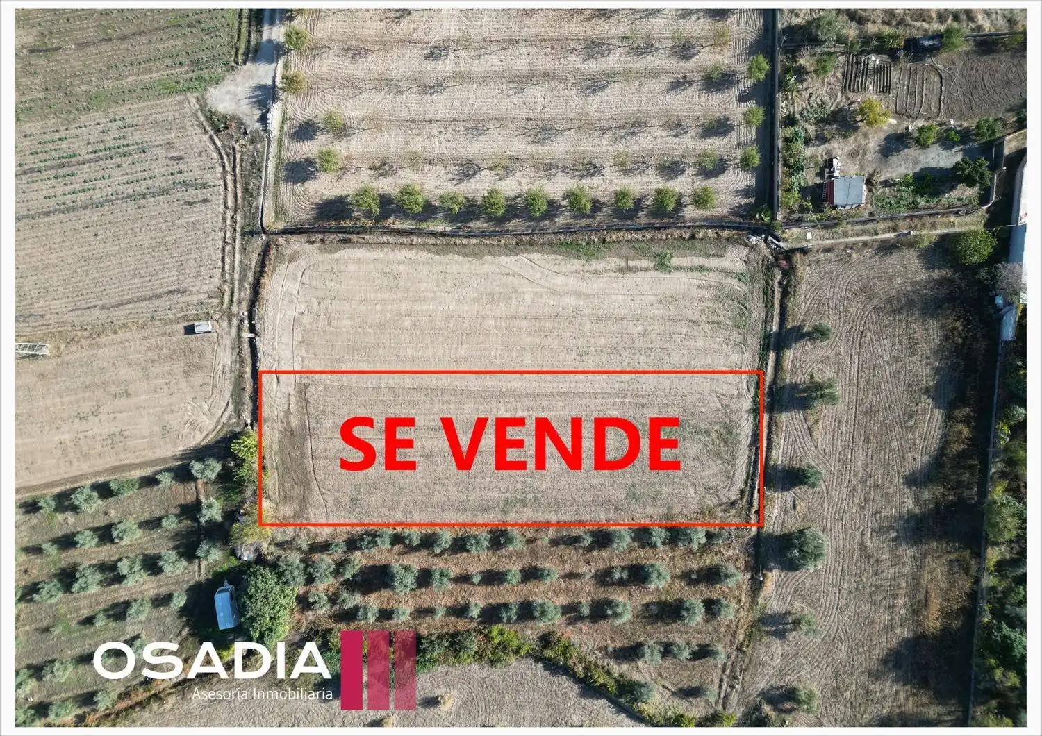 Terreno en venta en Granada