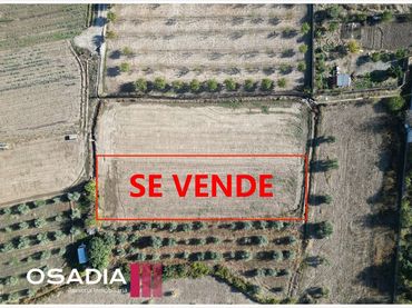 Rustikales Grundstück zum Verkauf in GR-3202