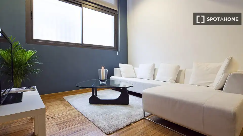 Sala de estar de Piso de alquiler en Barcelona con Aire acondicionado, Calefacción y Amueblado