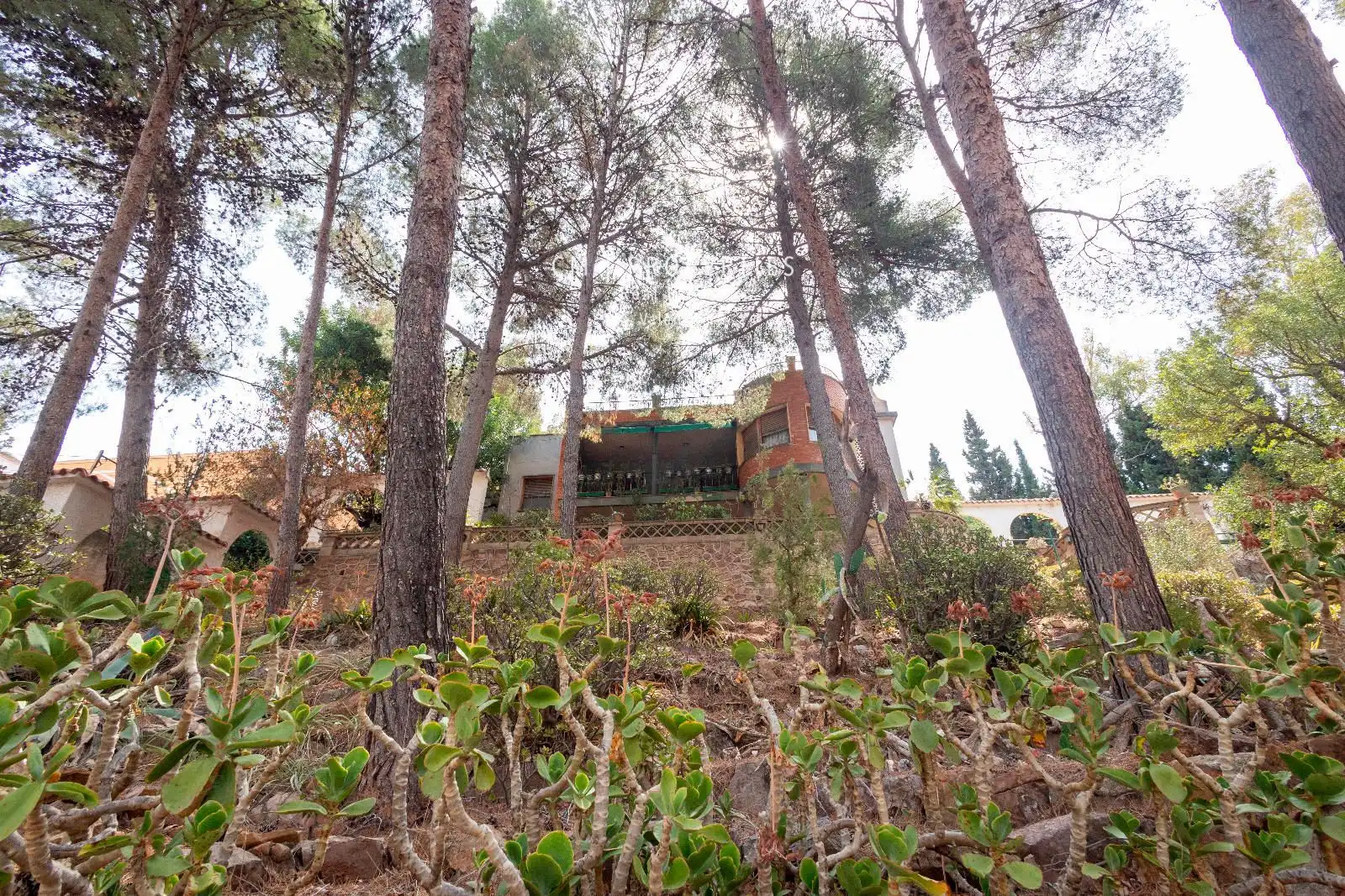 Jardín de Casa o chalet en venta en Náquera con Aire acondicionado, Terraza y Piscina