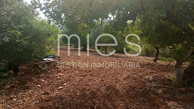 Finca rústica en venda en Macastre amb Jardí privat, Traster i Piscina
