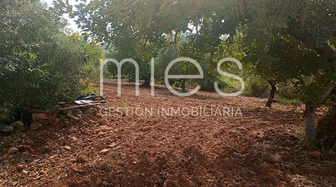 Foto 5 de Finca rústica en venda a Cañada del Pinar, Macastre, Valencia