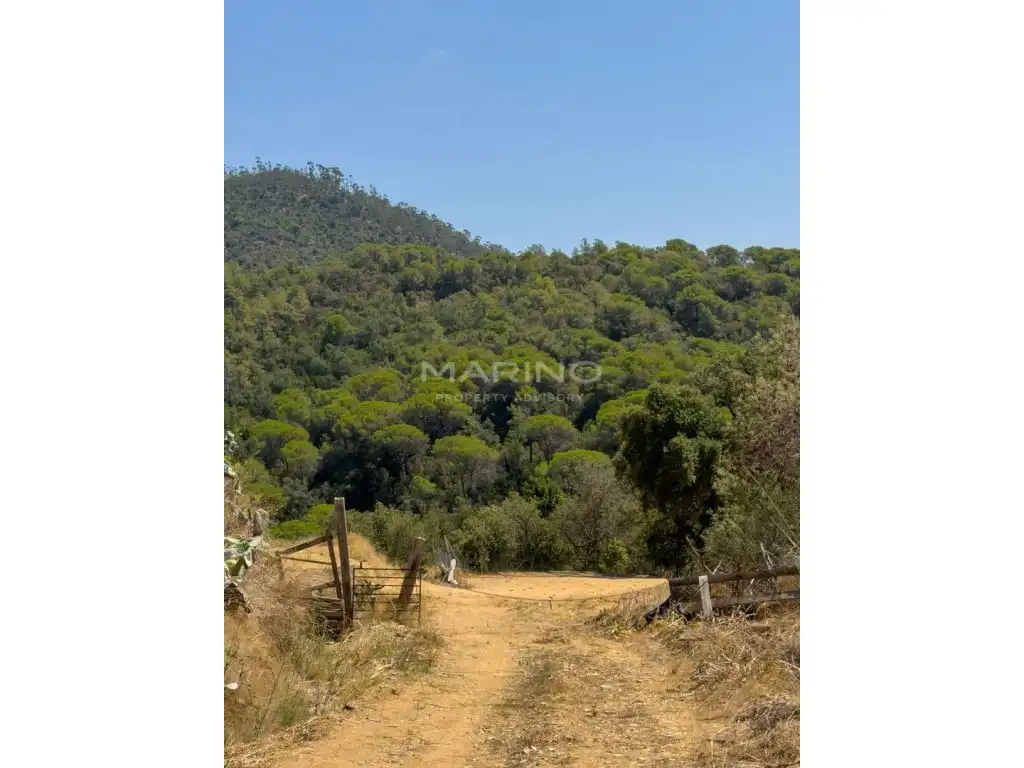 Finca rústica en venda en Tordera amb Jardí privat i Terrassa