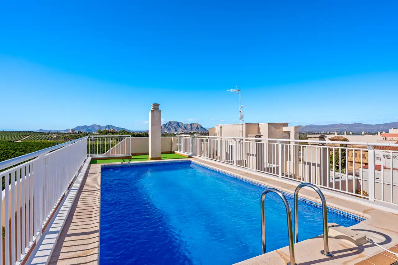 Swimming pool of Apartments for sale in Algorfa