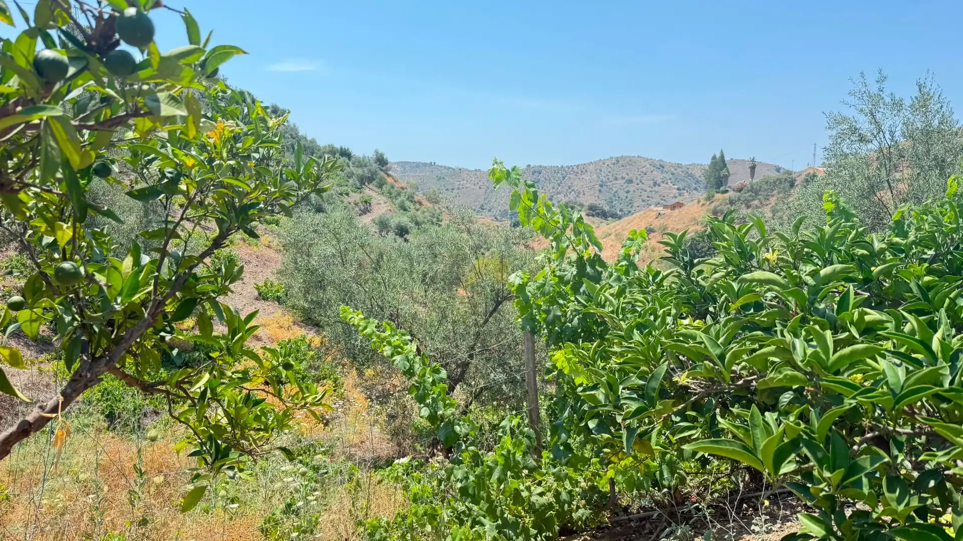 Casa o xalet en venda en Sedella amb Aire condicionat, Jardí privat i Terrassa