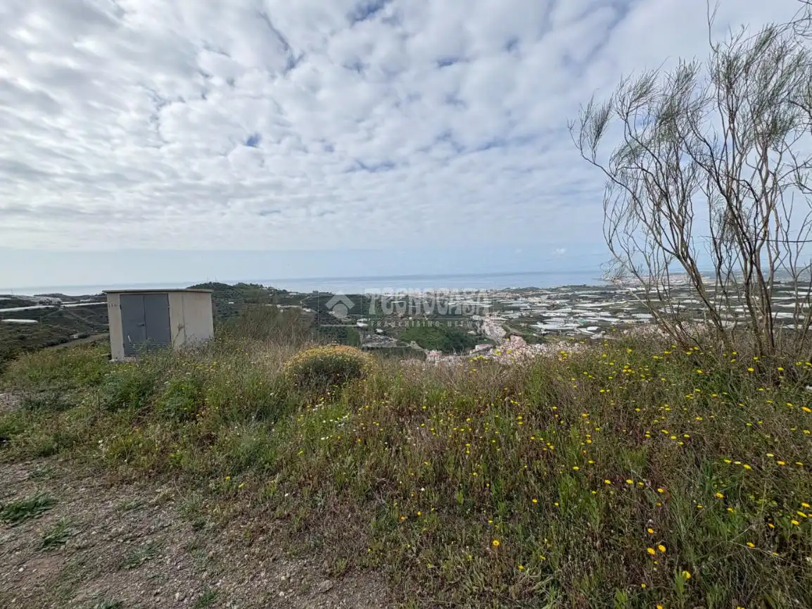 Terreny rústic en venda a Algarrobo pueblo, imagen 5