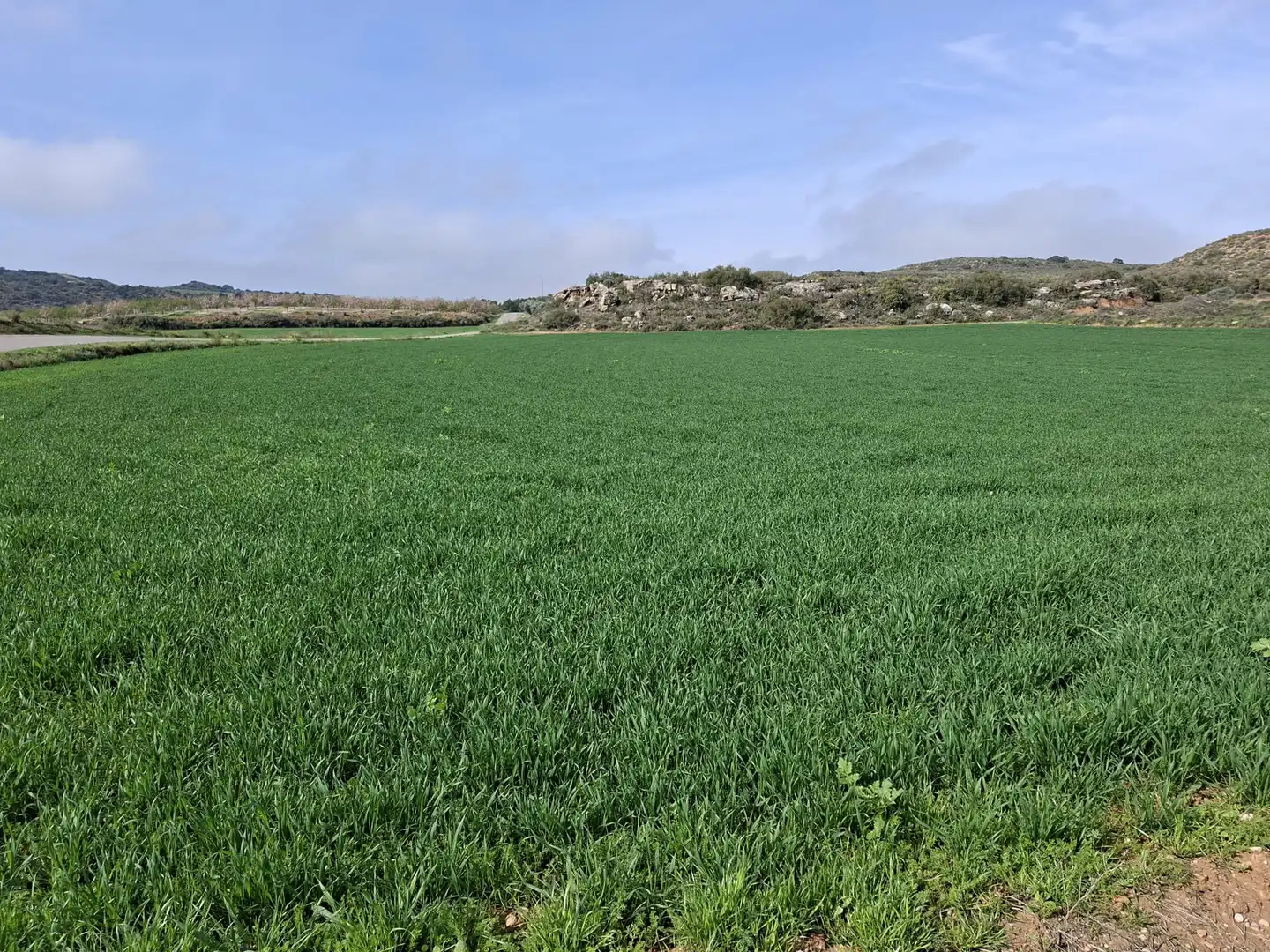 Terreni e lotti in vendita a Huerta Rimer de Alla, imagen 16