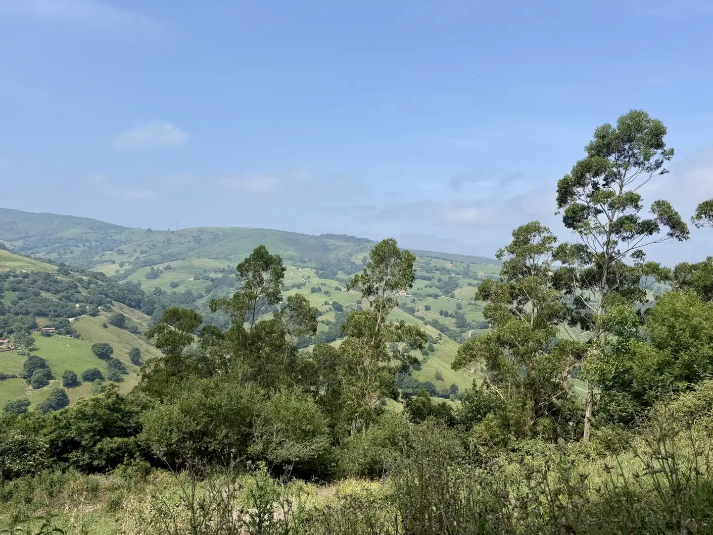 Vista exterior de Casa o chalet en venta en Liérganes con Jardín privado