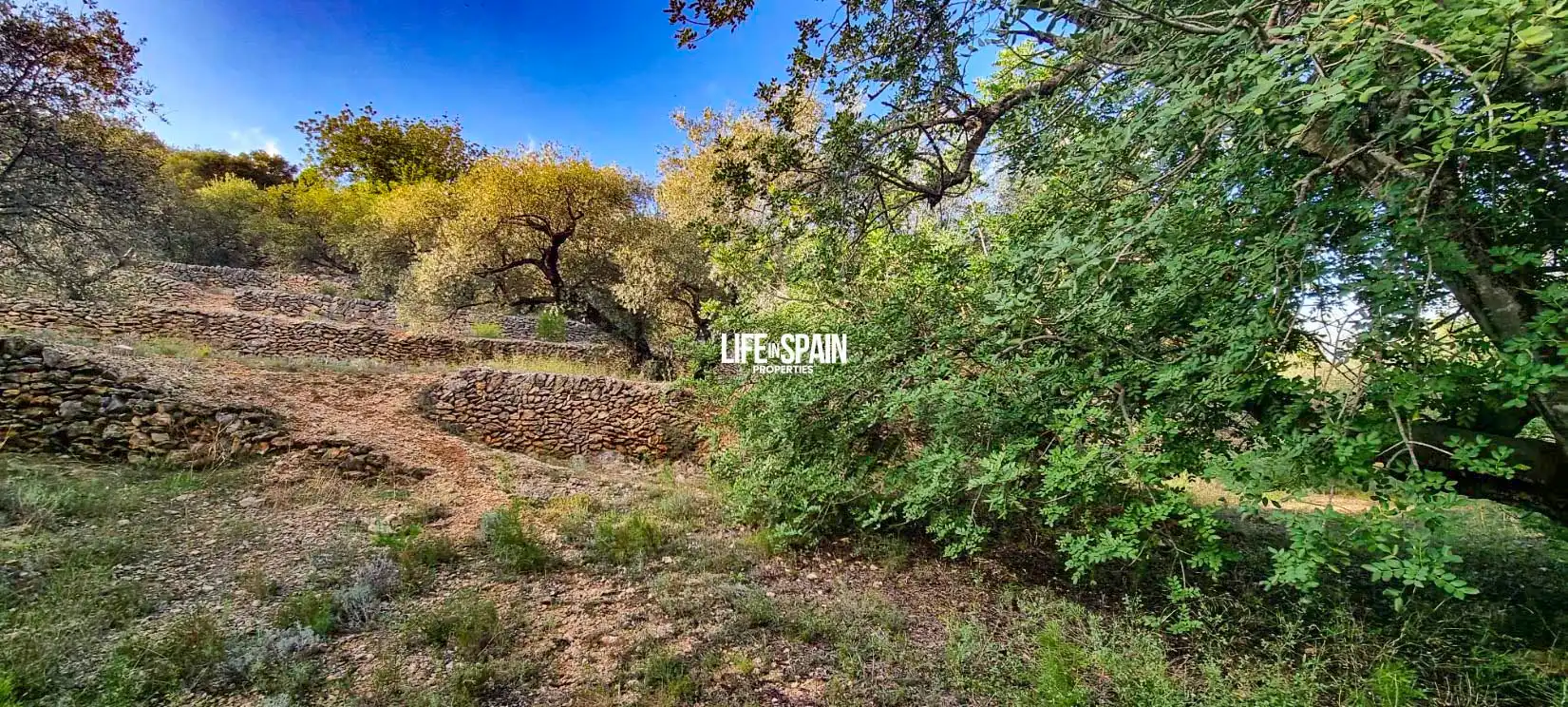 Finca rústica en venda en Roquetes amb Jardí privat i Piscina