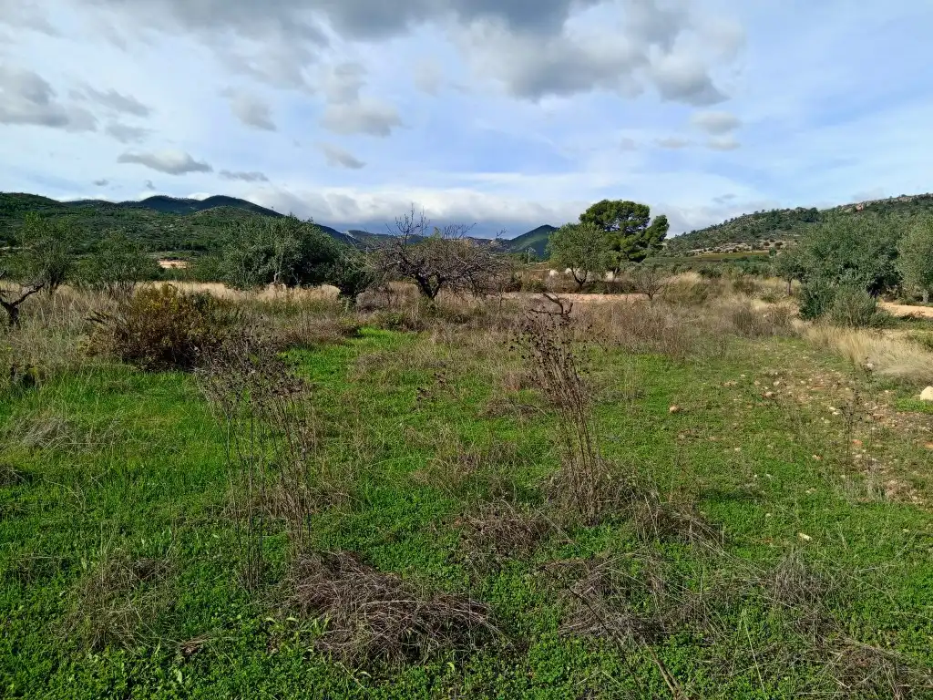Country homes for sale in Calles