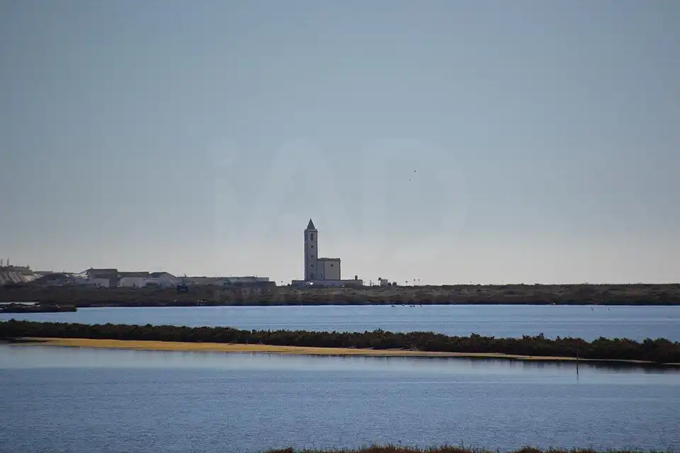 Casa rústica en venda a Pozo de los Frailes - Presillas - Albaricoques, imagen 30