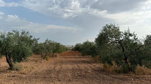 Foto 4 de Terreno en venta en Carmona, Sevilla