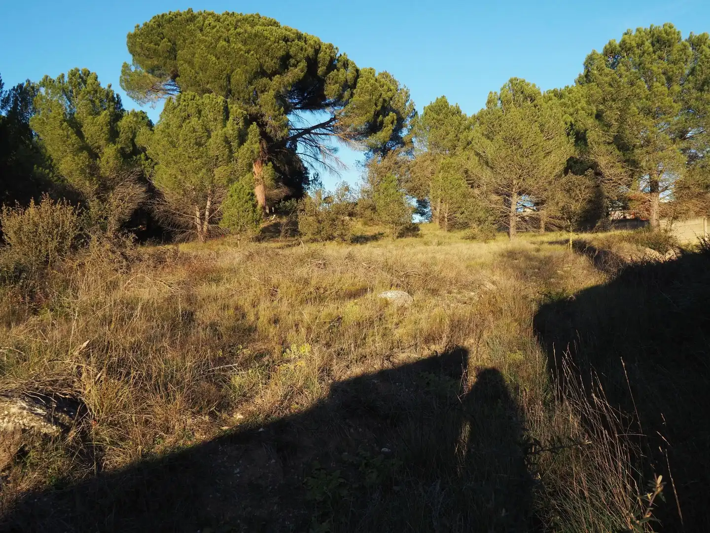 Residential zum Verkauf in Igualada