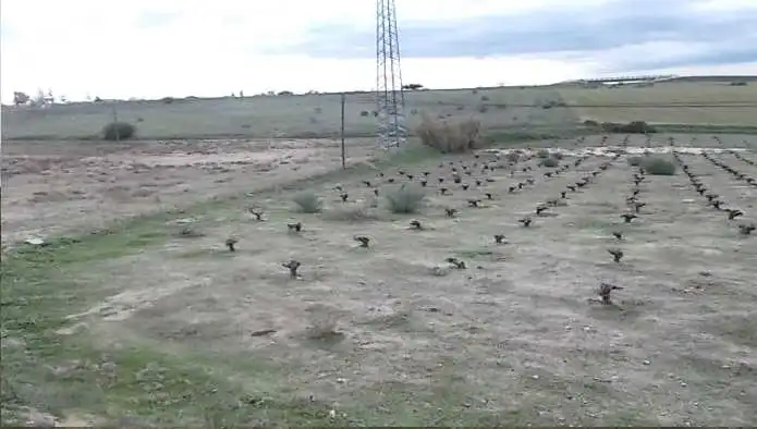 Rustikales Grundstück zum Verkauf in Pt Paraje La Perdiguera, imagen 6