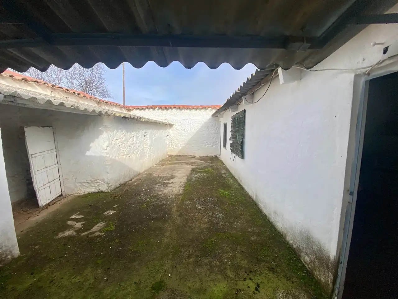 Vista exterior de Casa o chalet en venta en Ciudad Real con Jardín privado, Piscina y Amueblado