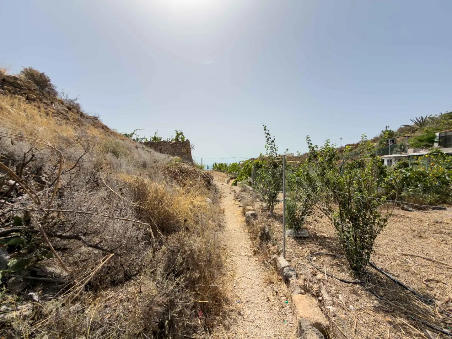 Finca rústica en venda en Güímar