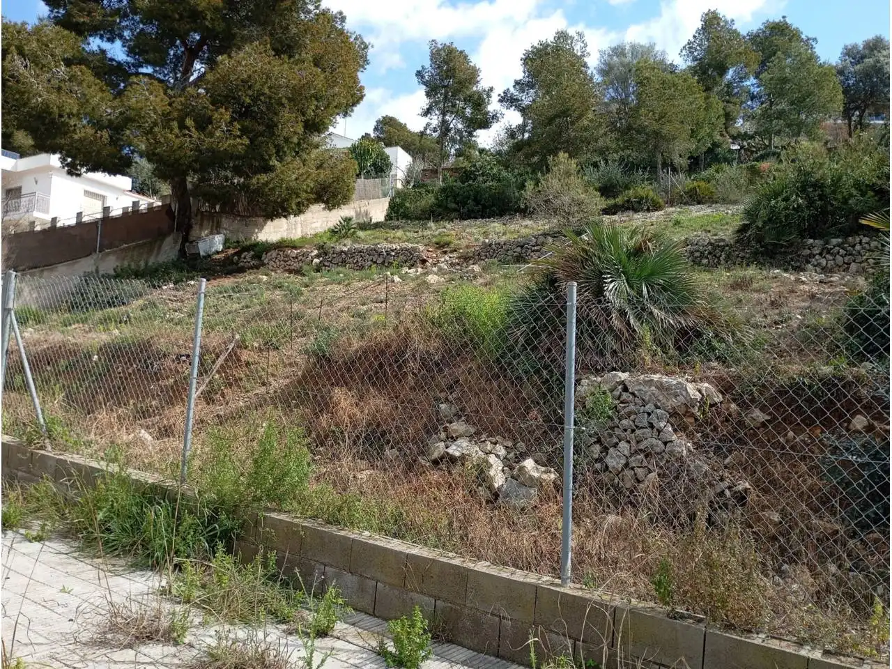 Terreny residencial en venda a Calle Gladiol, imagen 7