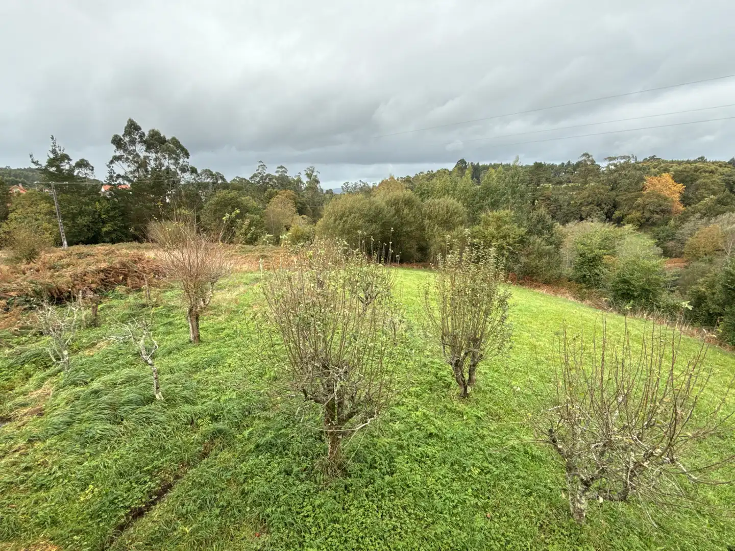 Piso en venta en A Laracha  