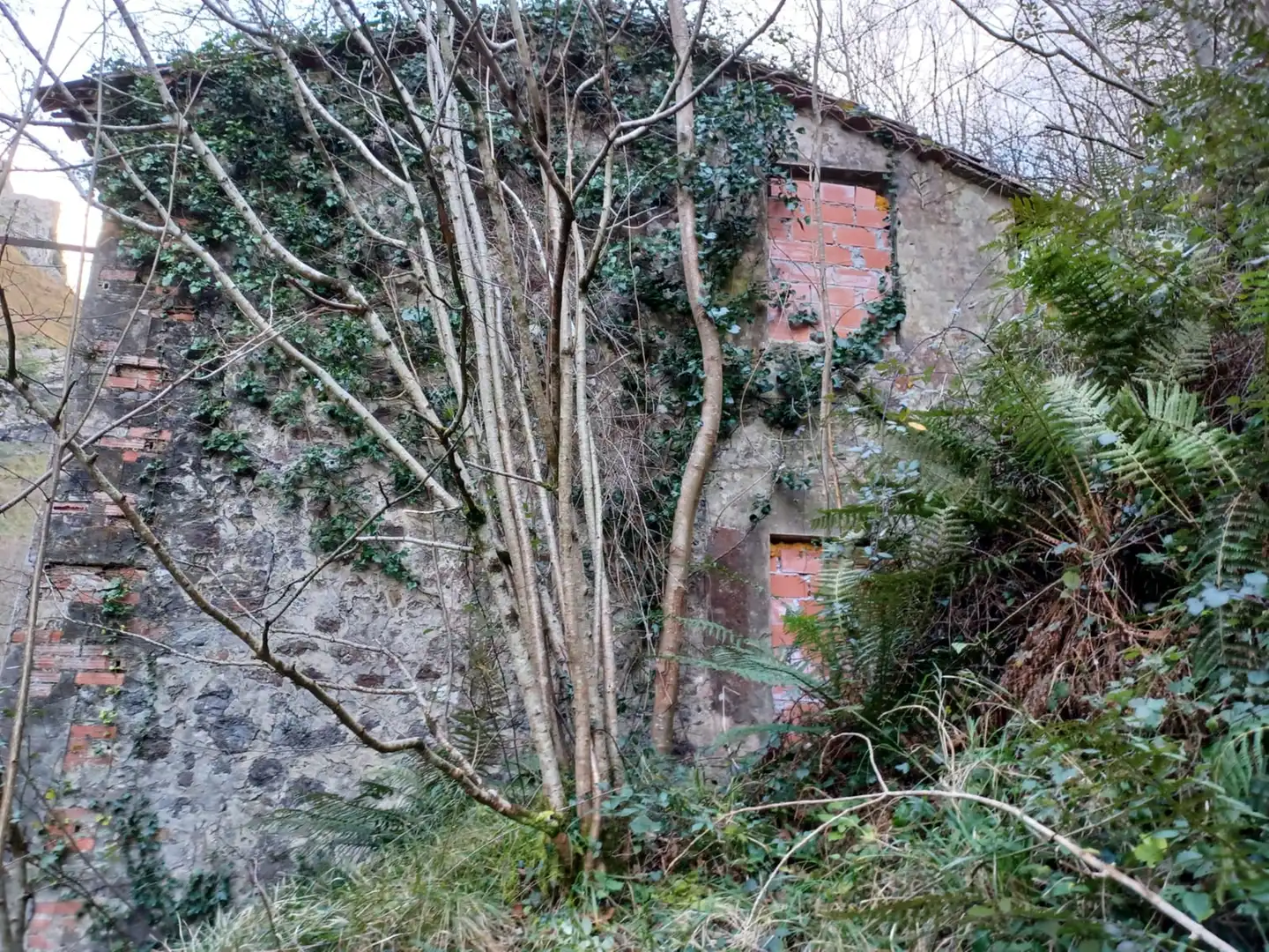 Haus zum Verkauf in San Roque de Riomiera, imagen 5