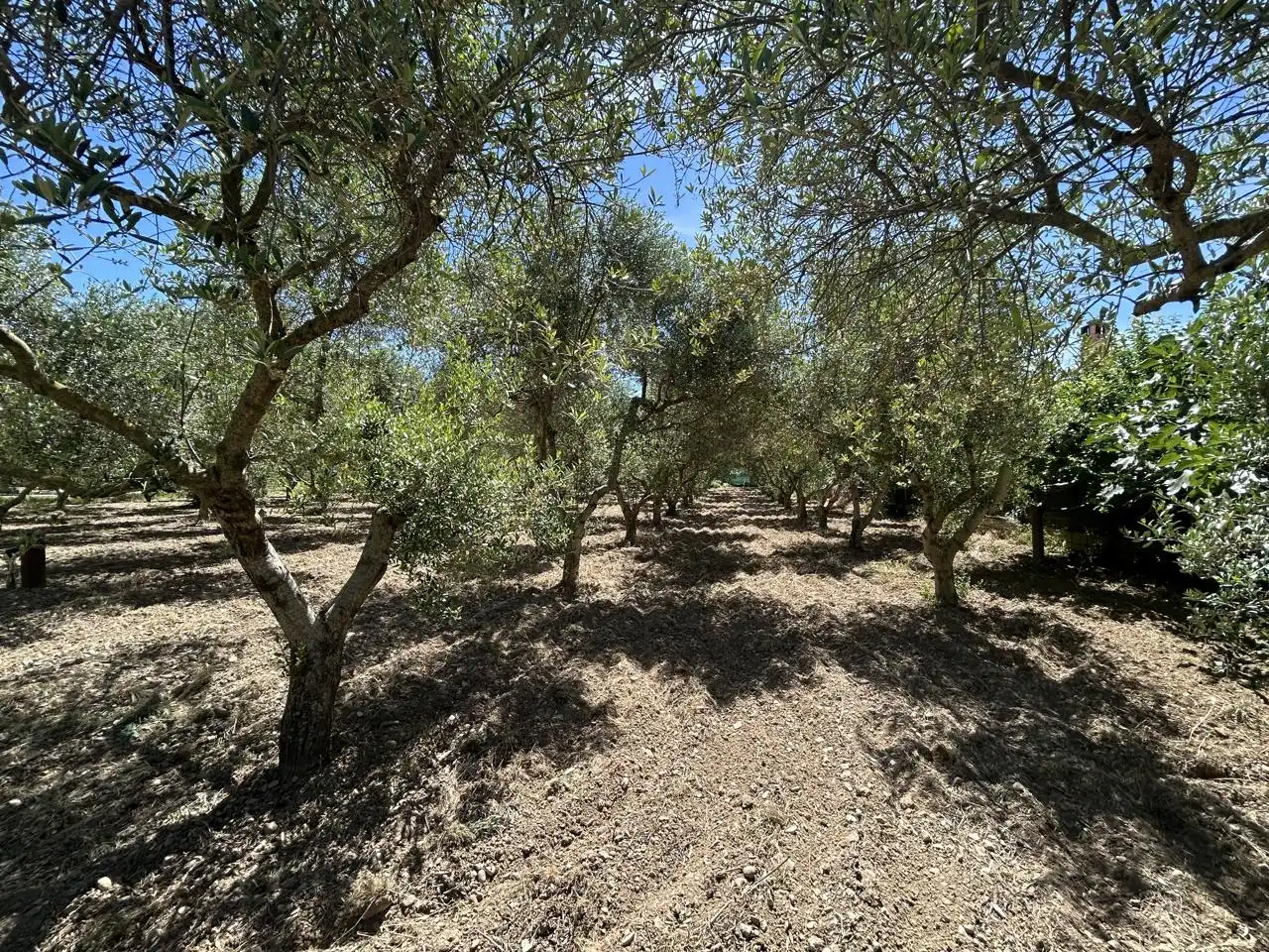Country homes for sale in 0, Cascante