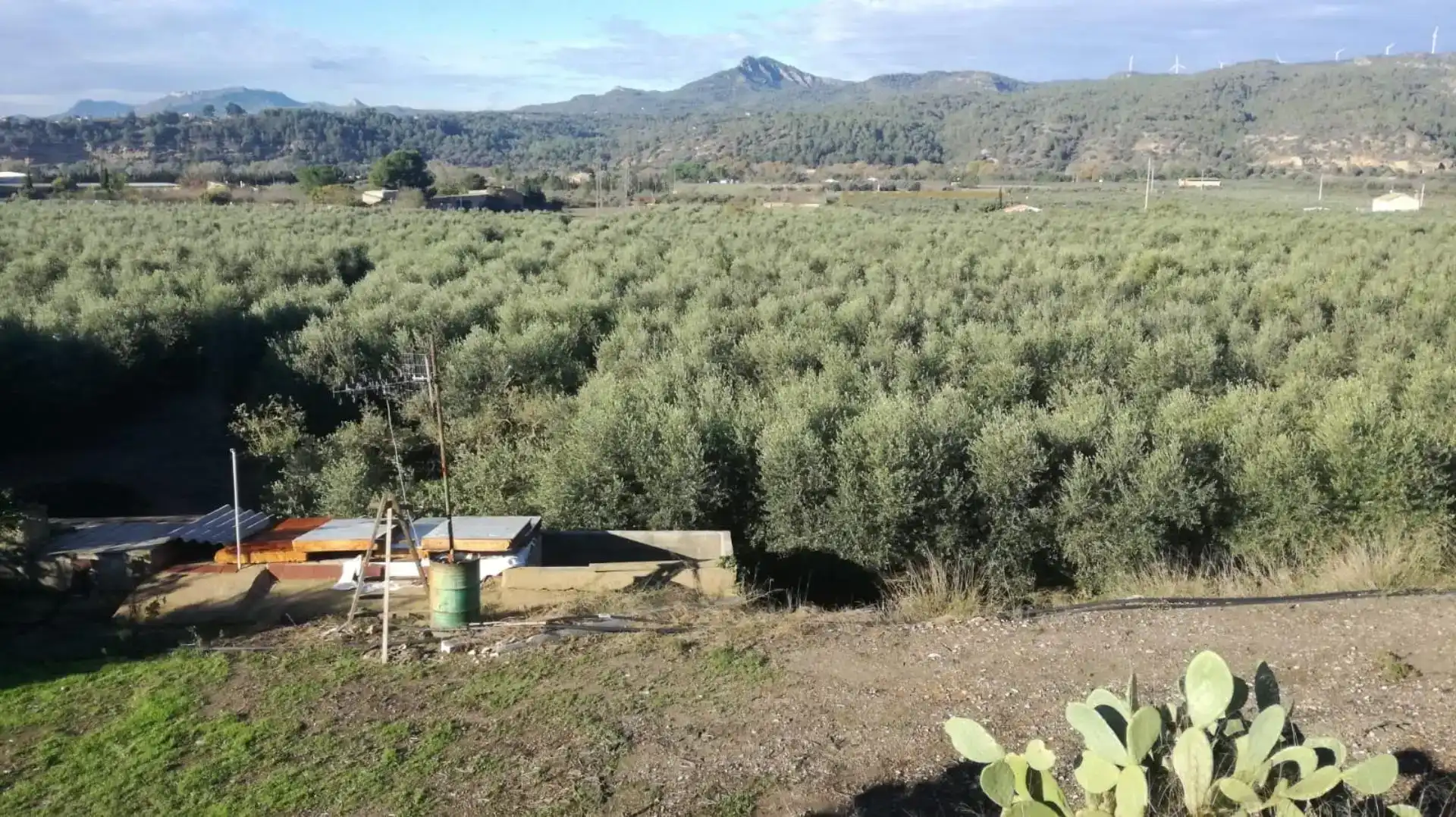Finca rústica en venda en Móra la Nova amb Aire condicionat i Piscina