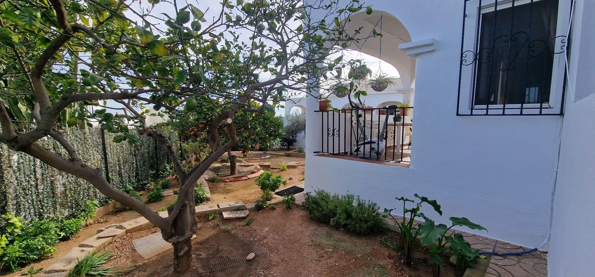 Haus mit Garten zum Verkauf in El Palmeral, imagen 7