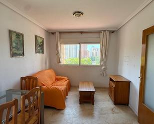 Sala d'estar de Pis en venda en Benidorm amb Traster i Piscina comunitària