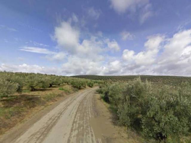 Terreno en Venta en Bujalance