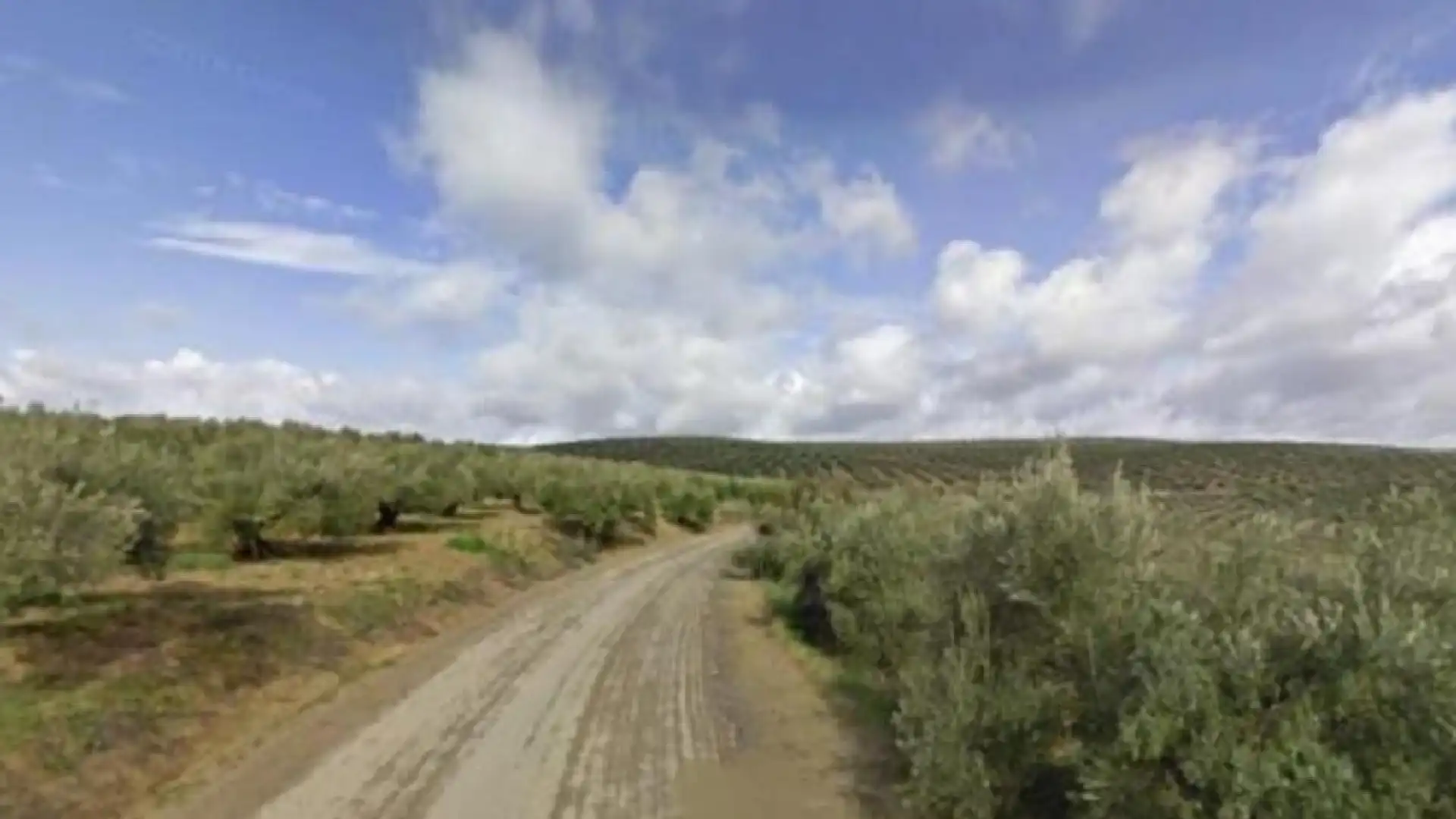 Land for sale in Bujalance