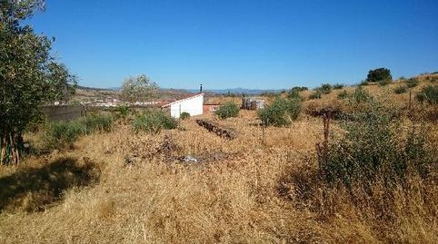 Terreno en venta en SANTA BARBARA  Plasencia Cáceres