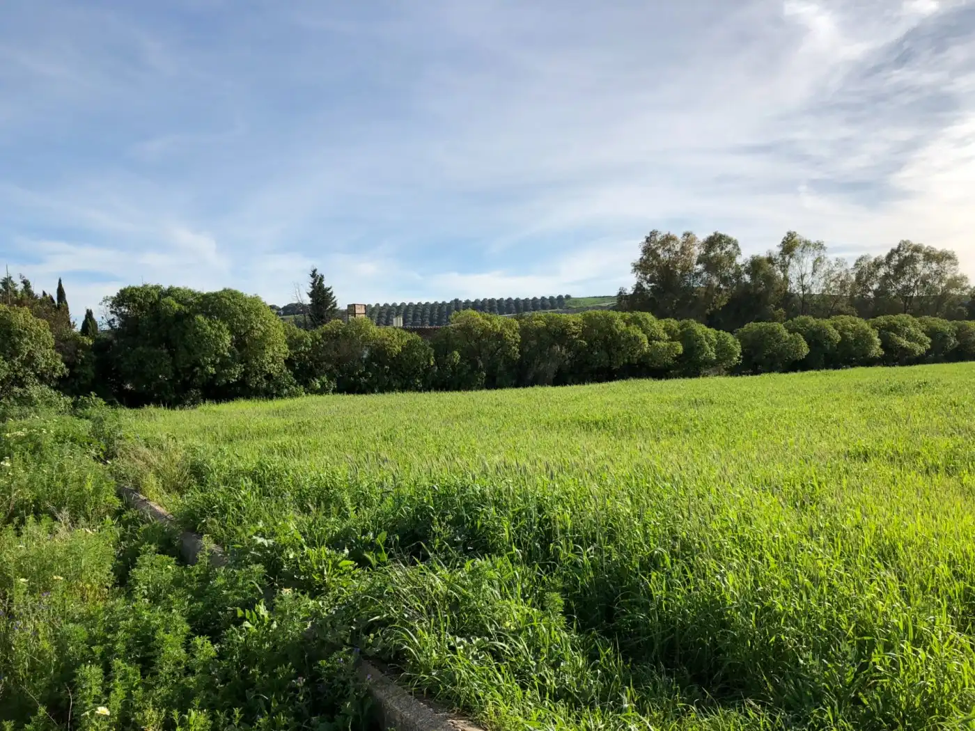 Terreno industrial en venta en Jerez de la Frontera