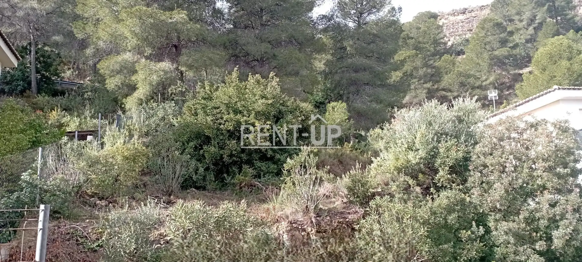 Terrain résidentiel à vendre à Sumacàrcer, imagen 6