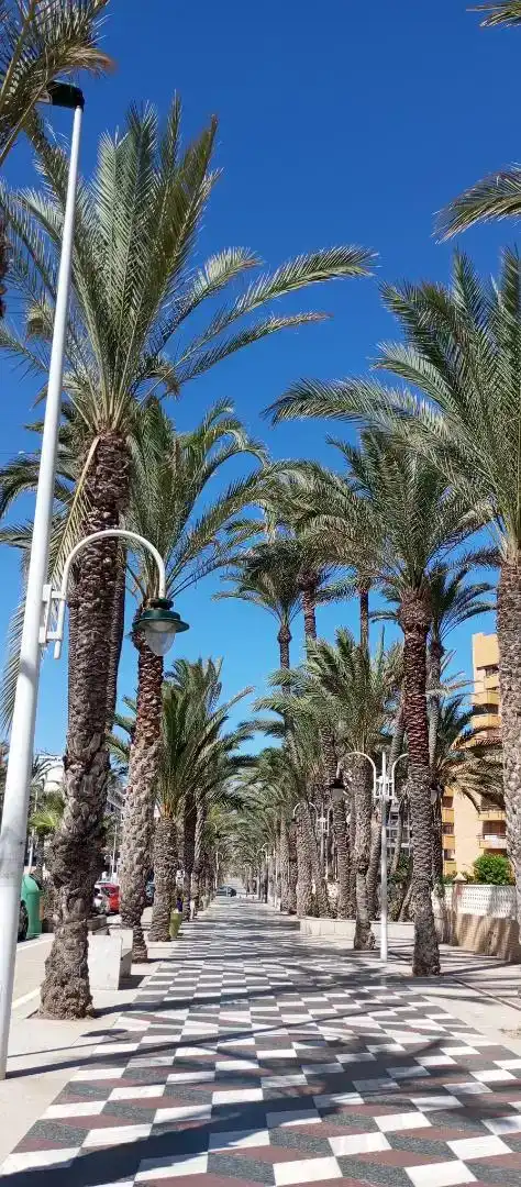 Außenansicht von Dachboden zur Miete in Elche / Elx mit Terrasse