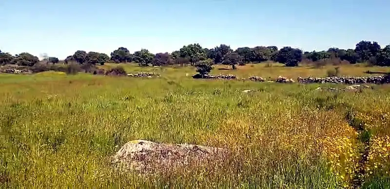 Terreni e lotti in vendita a Aldea del Cano, imagen 5