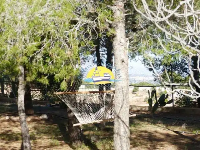 Garden of Houses for sale in Totana  with Private garden, Terrace and Storage room