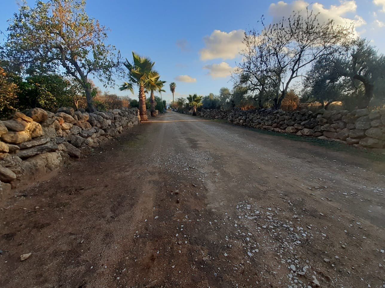 Vista exterior de Casa o chalet en venta en Utrera con Jardín privado, Trastero y Piscina