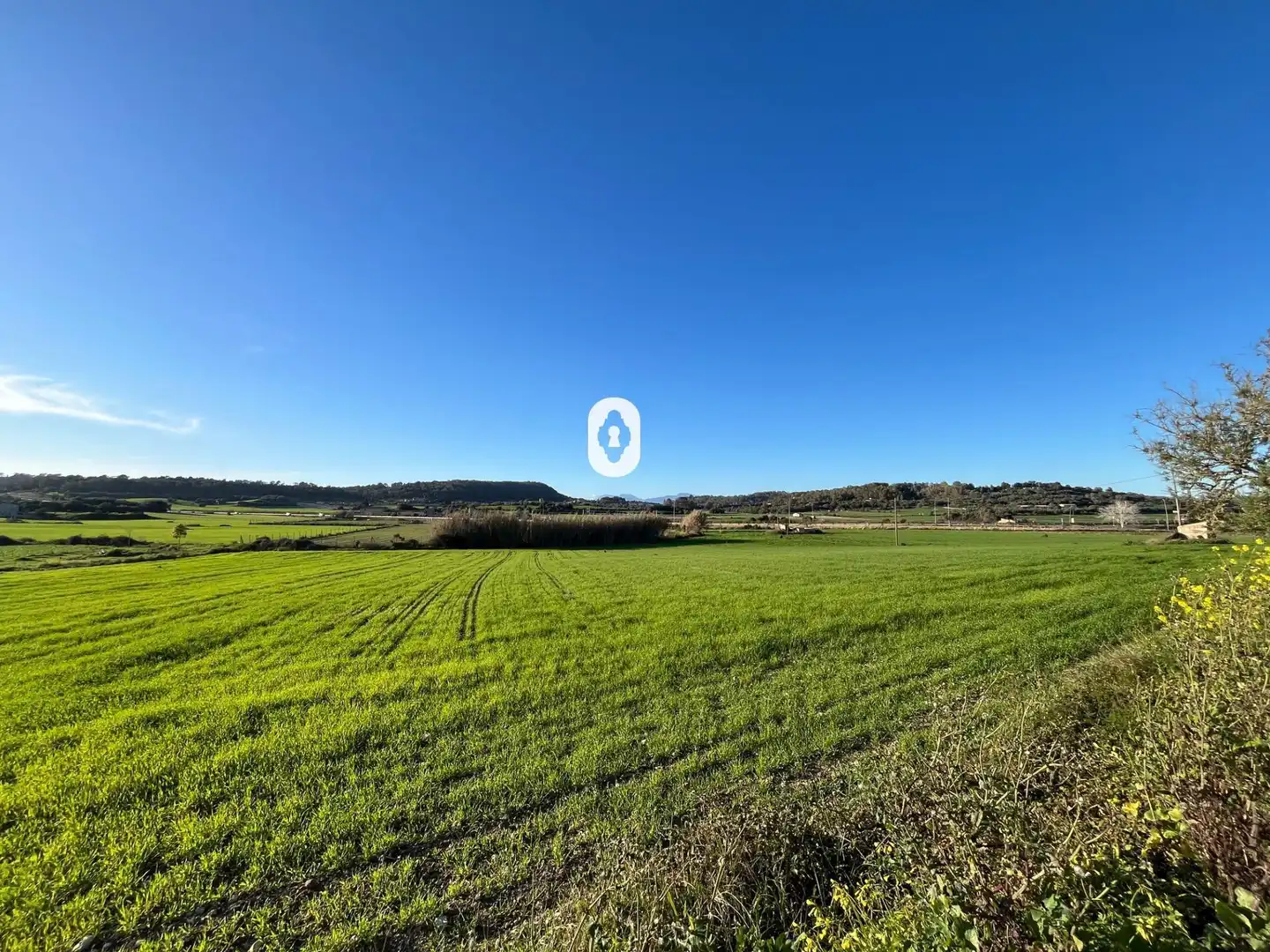 Residential for sale in Polígono 11 Parcela 820 SON CASTANYER. MONTUIRI (, Montuïri